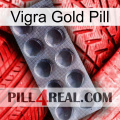 Vigra Gold Pill 30